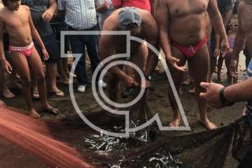 Melenara rememora el chinchorro y la varada del pescado (Foto TA)